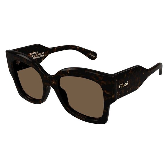 New CHLOE Havana Butterfly CH0252S 002 Sunglasses Women - Picture 1 of 4